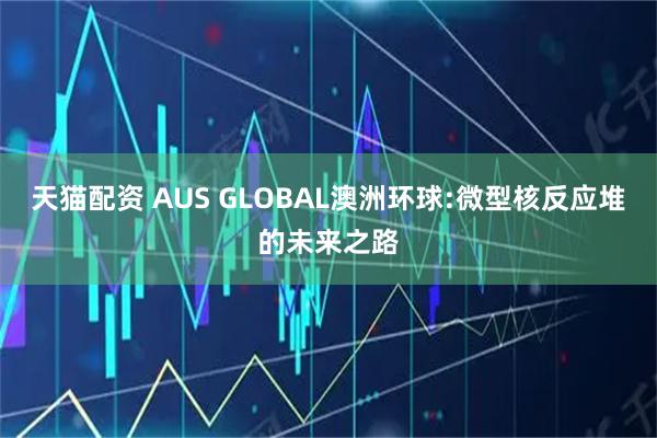 天猫配资 AUS GLOBAL澳洲环球:微型核反应堆的未来之路